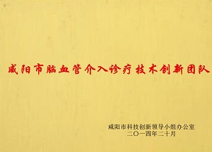 咸陽市腦血管介入診療技術(shù)創(chuàng)新團隊