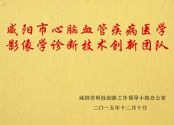 咸陽市心腦血管疾病醫(yī)學影像學診斷技術(shù)創(chuàng)新團隊